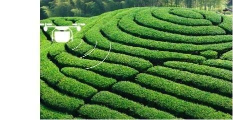 Drone de pulvérisation de pesticides résistant au vent, pratique avec structure à démontage rapide