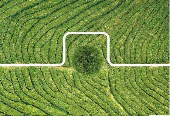 Drone de pulvérisation de pesticides résistant au vent, pratique avec structure à démontage rapide