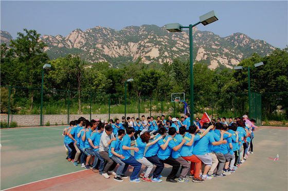 Drone électrique de pulvérisation agricole Installation facile Drone de désherbage