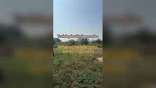 Un drone de pulvérisation de cultures de précision résout les différends en matière de formation